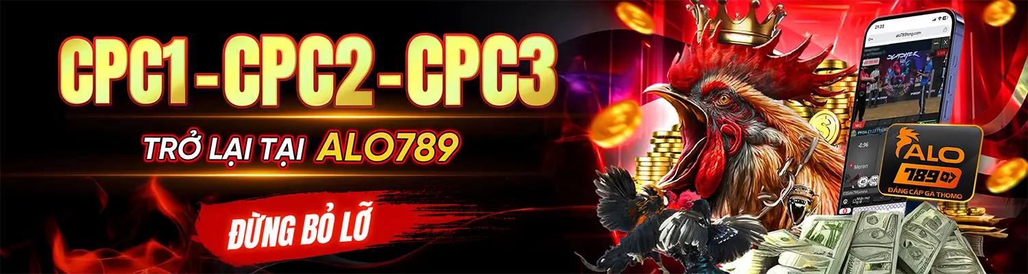 ALO789 VNG - Nhà Cái ALO789.COM Cá Cược Đá Gà Thomo Trực Tiếp T9/2026